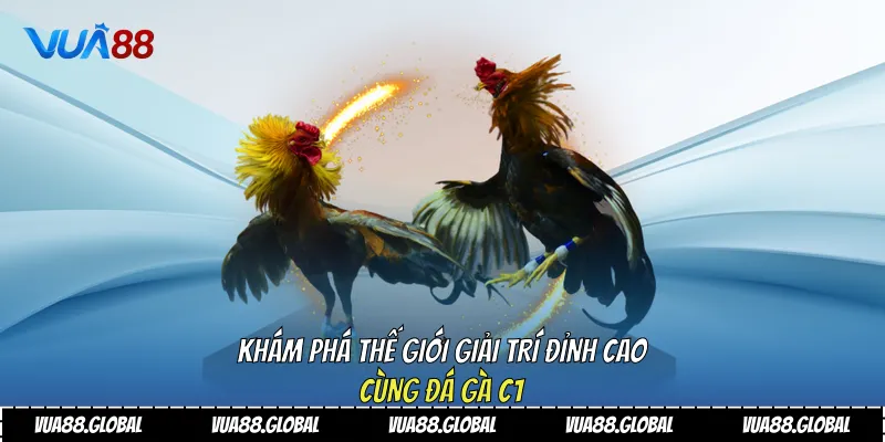 Khám Phá Thế Giới Giải Trí Đỉnh Cao Cùng Đá Gà C1 1 Đá gà C1