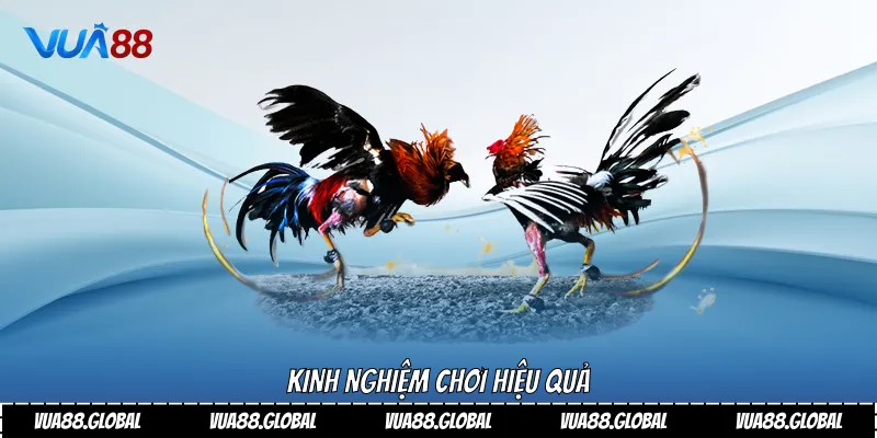 Kinh nghiệm chơi hiệu quả