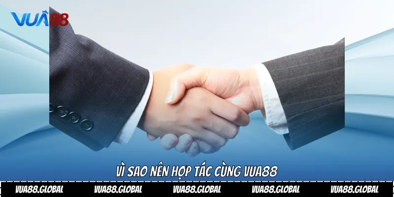 Đại Lý Vua88 Cơ Hội Hợp Tác Tiềm Năng Uy Tín Hàng Đầu 3 Vì sao nên hợp tác cùng Vua88